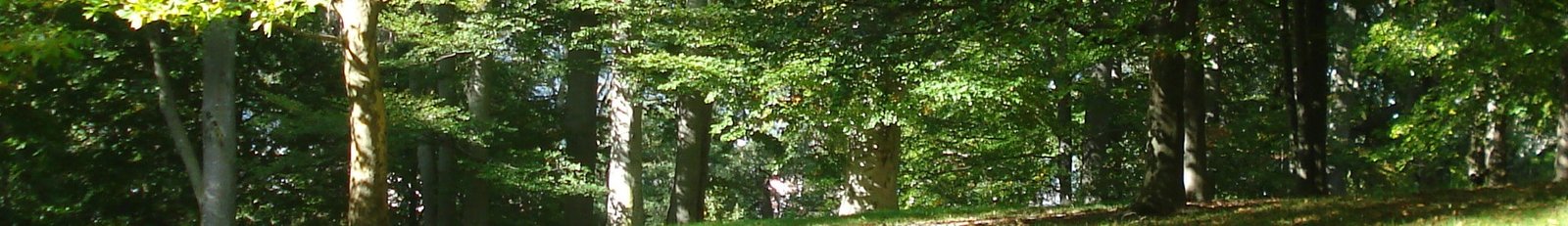 ShieldReputation Protects Your Online Identity